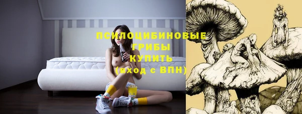 PSILOCYBIN Балахна