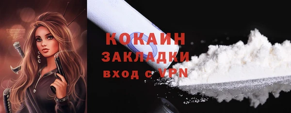 шишки Балабаново