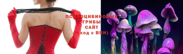 шишки Арсеньев