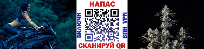 Канабис Ganja  omg зеркало  Могоча 